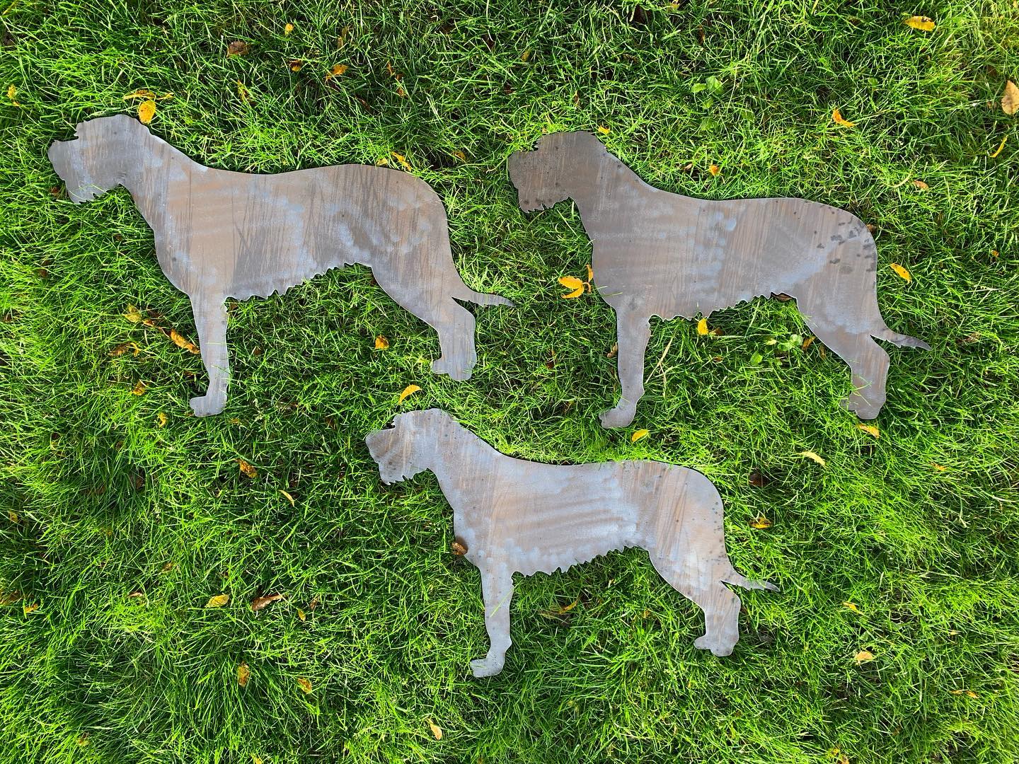 A few Irish Wolf Hounds leaving the workshop today. #swiftcut #swiftcutautomation #steel #plasmacutter #cncplasma #cncplasmacutting #bespokemetalwork #hypertherm #irishwolfhound #dogfan